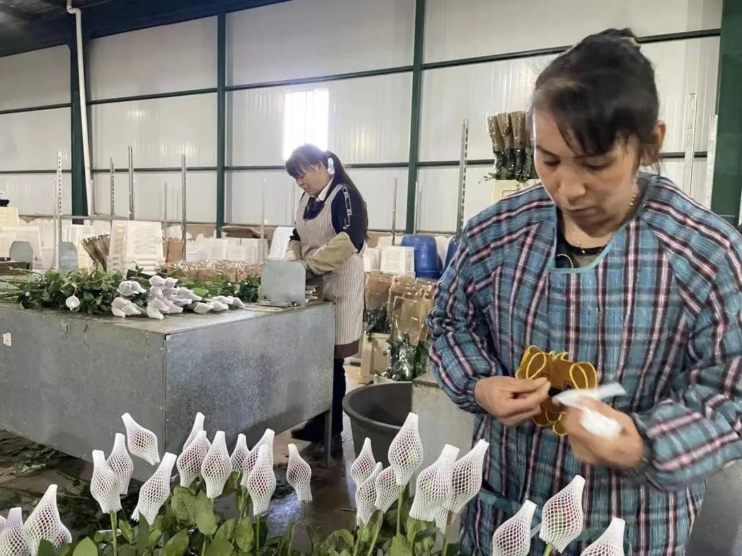 花美云南“晋”在眼前